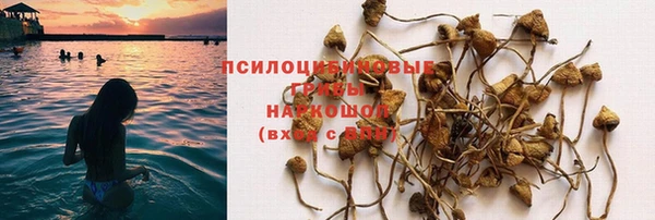 кокс Алексеевка
